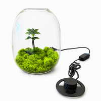 Terrarium en verre borosilicate fait main avec lumière LED intégrée pour la décoration de micro-paysages, de mousse et de palmiers 20x25cm