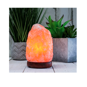 Top chic 100% lampe en cristal de sel de l'Himalaya pur lampe rose magnifiquement sculptée dans la conception d'artisanat naturel - Product Image 3