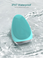 Outils de nettoyage en profondeur Charge inductive IPX7 brosse propre visage en silicone étanche à la maison