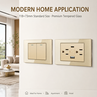 Interrupteur mural de luxe en verre trempé doré, prise IP20, norme américaine, prise double 15A, prise USB type C