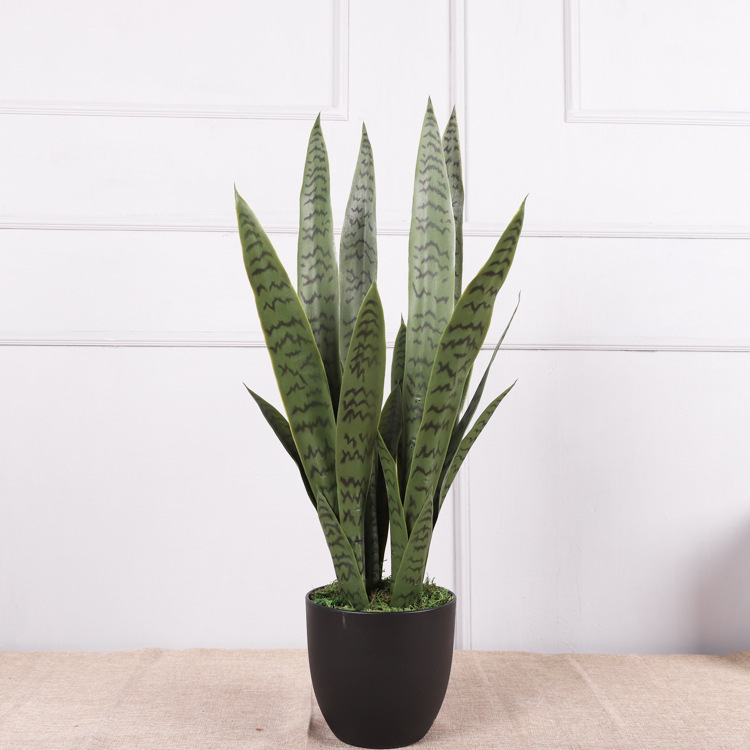Tigre piran-Verde-76cm