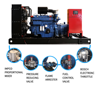 Groupe électrogène à gaz 100-400 kW pour opération en conteneur terminal portuaire, antidéflagrant, alimentation sécurisée, OEM