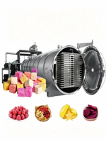 Commerciële vacuümvriesdroogmachine met SUS304 materiaal, automatische bediening en energiebesparende functies voor de verwerking van voedsel en fruit.