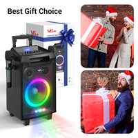 Ensemble d'équipements audio professionnels BT, boîte active de puissance, fête en plein air, portable, RGB pour 5.0, son vibrant, haut-parleur de 8 pouces