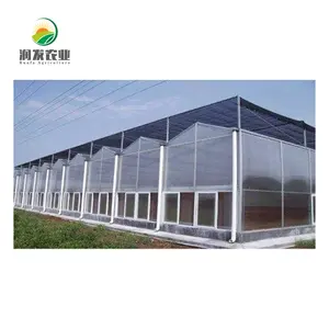 Multi Span PC Board Polycarbonate Sunshade Ventilation Shed Greenhouse Plastic Shedding By Iot Devices For Agriculture Control