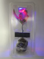 Lumière LED d'emballage de transport de clone de semis de jeunes plantes vivantes