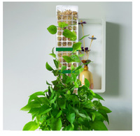 Bâtonnets de croissance grimpants en plastique de 24 pouces Piquets de support pour plantes de jardin de fleurs en mousse naturelle
