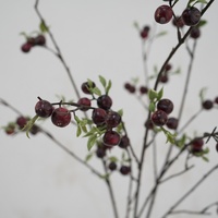 Kleine Amerikaanse landelijke stijl besachtige schuim kunstfruit decoratie 30-100cm milieuvriendelijke thuisfotografie rekwisieten groothandel