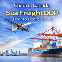 Agente de Carga Profesional de China a Canadá, Transporte Marítimo Puerta a Puerta con LCL+Express, 30-45 Días de Tránsito y Seguro