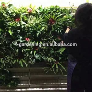 Siphem Smart Garden, Sistema de Pared Verde Artificial Hidropónico, Pared Ecológica Inteligente para Plantas Reales - Product Image 6