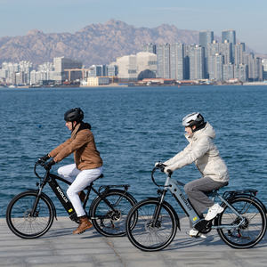 Vélo électrique intelligent KOOLUX X3 7 vitesses, vélo de ville pour trajets urbains, moteur central, longue autonomie, haute vitesse, cadre en aluminium, 15 Ah, 250 W, 48 V - Product Image 3