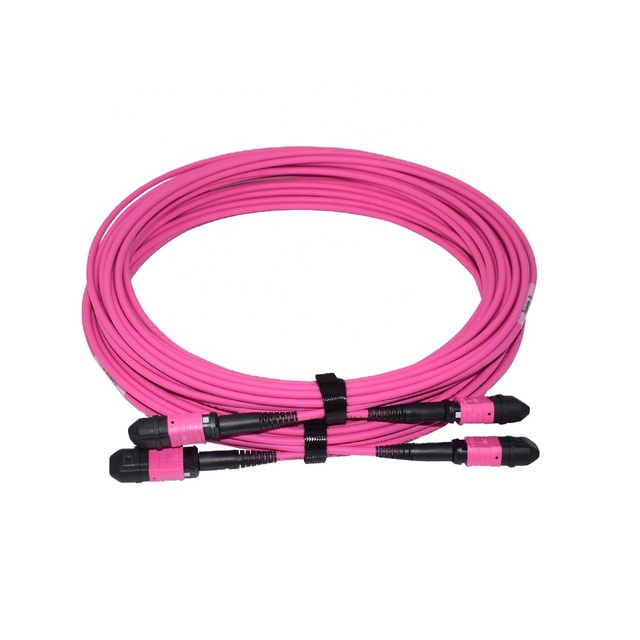 MPO Cable: 8 Cores MM Type B Female MPO to MPO Fiber Patch Cord 7M