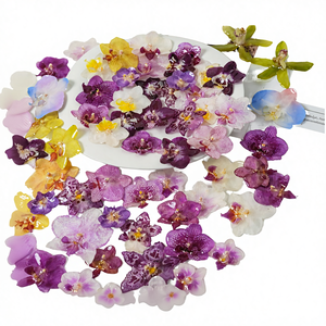 Серьги-подвески из натуральных консервированных цветов в смоле, различные дизайны орхидей, ювелирные украшения, подарок женщине на день рождения - Product Image 4