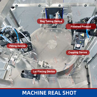 Machine de remplissage et de bouchage automatique de sachets à bec verseur pour après-shampoing, gel lavant, lotion, shampoing