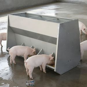 <strong>Turnkey</strong> Solution High Capacity Automatic Feeding Stainless Steel Trough <strong>Pig</strong> <strong>Farming</strong> Equipment Automatic Livestock Feeder - Product Image 1