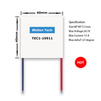 Modules de refroidissement thermoélectriques Peltier 24V 40*40 TEC1-19911 Catégorie de produits semi-conducteurs