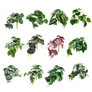 Ou Jiayan Artificial Green Plants 3D Printed Monstera Potted Indoor <b>Decorative</b> Desktop <b>Wall</b> Hanging Vine Plants - Product Image 4