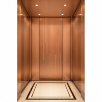 Ascenseur résidentiel pour villa, cabine de luxe bronze or rose, éclairage LED, ascenseur pour maison