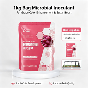 Inoculante Microbiano Orgánico Anti-Estres de Liberación Lenta para Uvas, Previene la Interrupción del Color por Lluvia, para Cultivadores Internacionales de Frutas - Product Image 4