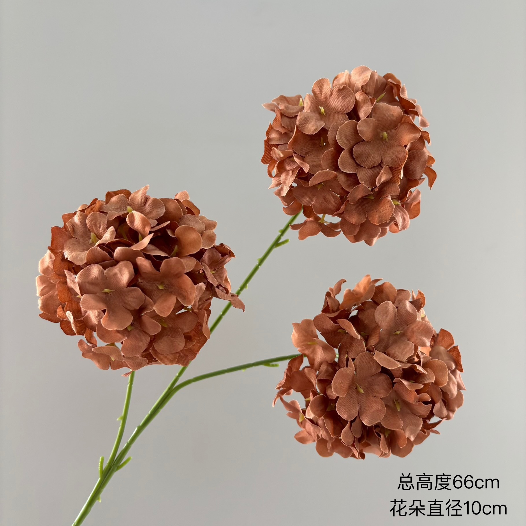 hortensia à 3 têtes