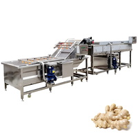 Lonkia Fabriek Aangepaste Productie Industriële Gember Verwerkingslijn Verse Gember Wasmachine