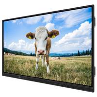 Pantalla Interactiva Táctil Inteligente IBoard Wifi de 65 Pulgadas, Pizarra Inteligente de 75 Pulgadas, Máquina de Conferencias Todo en Uno con USB y RJ45