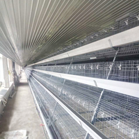 Structure en acier Poulailler Maison de poulets de chair Hangar de ferme Bâtiment de volaille Entrepôt préfabriqué Buildngs