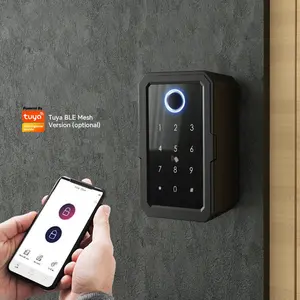 Tediton Tuya Wifi Safe acciaio inossidabile impronta digitale elettrica IC Card Password Lock Home Smart Key Box