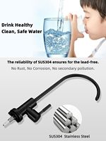 Robinet de cuisine monocommande pivotant à 360° en acier inoxydable SUS304 noir mat pour filtre à eau RO, vente en gros depuis l'entrepôt américain