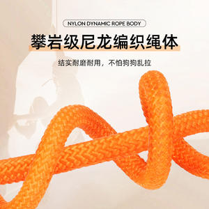 Correa para Perros de Estilo Nuevo, Cadena Tipo P, Correa Deslizante para Exhibición de Perros, Fabricante de Correas - Product Image 3