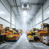 Projet de stockage frigorifique à grande échelle, système de réfrigération industrielle pour les produits agricoles et la transformation alimentaire