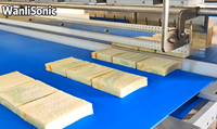 Machine à découper le pain à ultrasons à haute productivité de l'usine Wanlisonic avec lame en alliage de titane pour l'industrie de la boulangerie