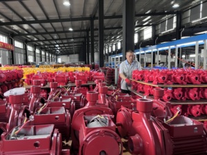 Bombas de <span class=keywords><strong>Riego</strong></span> de Jardín Industriales Urbanas de Presión Elevada, <span class=keywords><strong>Bomba</strong></span> de Agua Centrífuga de Larga Distancia con Motor Eléctrico de una Etapa en Oferta - Product Image 2