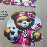Terbaru 60 cm 30 cm 33cm Dtf PET Transfer Film T-shirt Digital Inkjet Printer Dtf Printing Film Roll A3 13inch 30 cm 60 cm