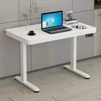 Escritorio Eléctrico de Acero Moderno Personalizado con Doble Motor y Garantía de 5 Años - Escritorio Ajustable para Trabajar de Pie en Casa, Oficina o Estaciones de Juego