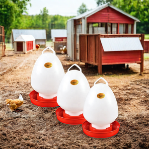 Bebederos Automáticos para Pollos y Broilers de Material PP, Modelo <span class=keywords><strong>Yuebao</strong></span> D07, para el Cuidado del Ganado - Product Image 1