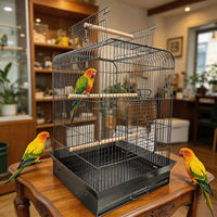 Cage à oiseaux ouverte pour perroquets avec protection anti-graines et plateau extractible, grande cage en fer forgé avec perchoirs et mangeoires