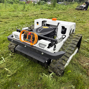 Tondeuse robotisée intelligente 600 mm avec moteur 224cc, livraison gratuite, certifiée CE EPA, pour terrains en pente et jardins - Product Image 1