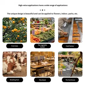 Rollos de Papel Adhesivo para Moscas y Mosquitos, Modelo P-7, Zhejiang, Gran Venta en Comercio Exterior Transfronterizo - Product Image 2