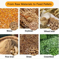 Máquinas Automáticas Personalizadas de Procesamiento de Alimentos para Aves de Corral y Ganado de 2t/h, Línea de Producción de Pienso en Pellets para Ganado Vacuno y Avícola