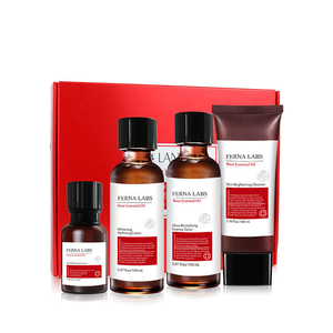 Tónico Revitalizante con Efecto Luminoso <span class=keywords><strong>FERNA</strong></span> LABS, Loción, Productos Antienvejecimiento para el Cuidado de la Piel, Cuidado Facial Coreano Natural, Juego de 4 Piezas - Product Image 3
