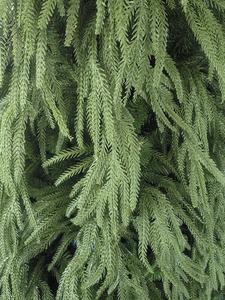 شجرة عيد الميلاد عالية الجودة بطول 6 أقدام من أوراق السرو، صديقة للبيئة مع قاعدة مخصصة للديكورات الاحتفالية - Product Image 5