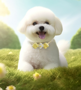 Collier anti-moustiques et insectes à base d'huiles essentielles végétales naturelles pour chiens et chats - Vente en gros - Product Image 2