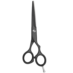 Ciseaux de barbier droits en acier inoxydable, ciseaux de coiffure avec manche en plastique, outil de coupe portable pour salon - Product Image 1