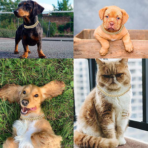 Aksesori perhiasan hewan peliharaan Hip Hop mewah 15mm berlian emas perak kerah anjing rantai kristal Tautan Kuba logam padat untuk anjing - Product Image 5