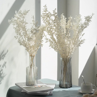 Gedroogde Echte Witte Decoratie Bloemen Eucalyptus Italiaanse Ruscus Stengels Geconserveerd Gebleekte Eucalyptus Kleine Bladeren Yf02