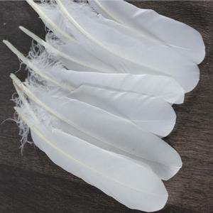 Lông Tự Nhiên Vịt Trắng Xuống Một Lớp Chất Lượng Tốt Lông 15-19Cm Chiều Dài Cong Cầu Lông - Product Image 4