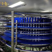 Torre di Raffreddamento Verticale a Spirale Salvaspazio ad Alta Capacità in Acciaio Inox SUS304 per Linee di Produzione di Pane e Prodotti da Forno