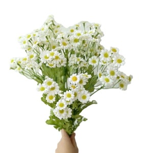 Bouquet de marguerites artificielles West Lake Butterfly, 30 têtes, fleurs en soie, décoration de mariage et de maison, 10cm-30cm, blanc laiteux, jaune - Product Image 5