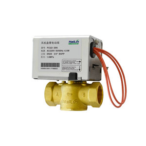 HL-G2-1/2-S2 FCU 2 พอร์ต DN15 1/2 มอเตอร์ทองเหลืองพร้อมตัวกระตุ้น 220VAC ได้รับการรับรองมาตรฐาน CE HL-G2-1/2-S2 ควบคุม HL-G2-1/2-S2 - Product Image 1